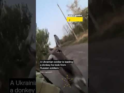 Ukrainian Soldier Is Leading a Donkey He Took From Russian Troops