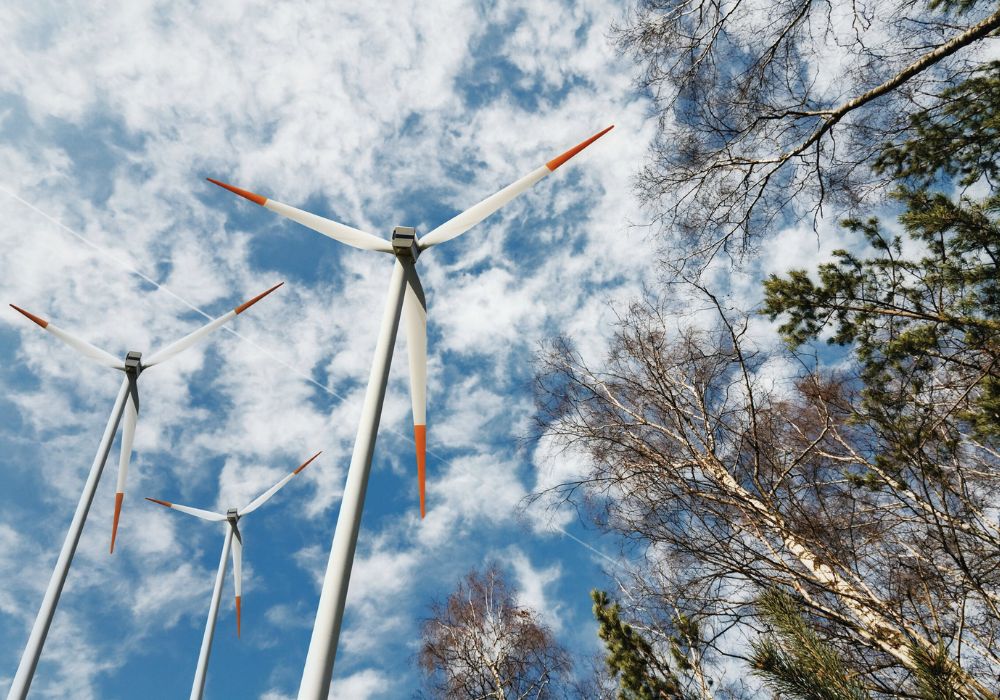 Canada can unlock much more corporate investment in renewables