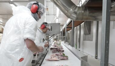 Dawn Meats clears regulatory hurdle for New Zealand meat co-op deal – The Irish Times