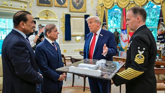  US President Donald Trump during a meeting with Pakistan Prime Minister Shehbaz Sharif and Field Marshal Asim Munir at the White House, in Washington, DC, USA (PTI)