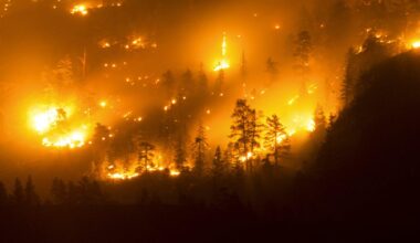 Canadian PM Mark Carney’s climate inaction is at odds with his awareness of climate change’s existential threat