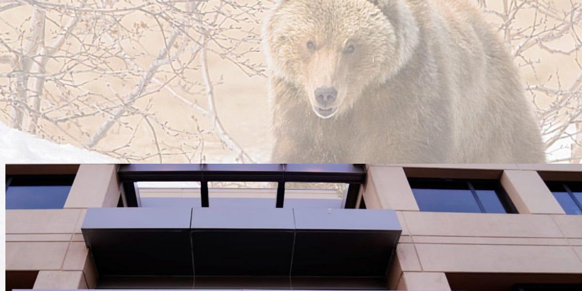 The Kremlin’s Bears Strike DNC, DCCC