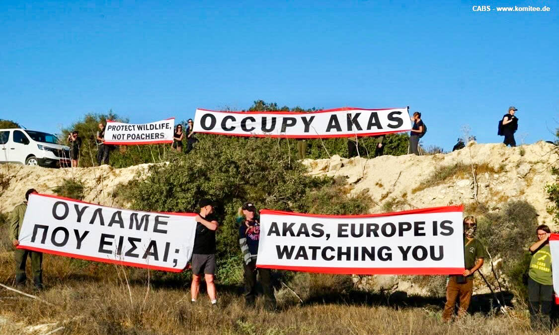 cover Songbird trapping in Cyprus: a growing national and environmental crisis