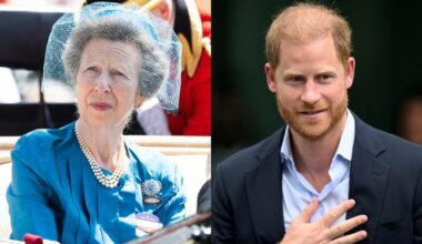 Princess Anne & Prince Harry's Relationship Amid King Charles Reunion