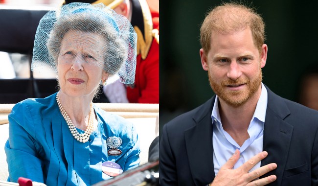 Princess Anne & Prince Harry's Relationship Amid King Charles Reunion