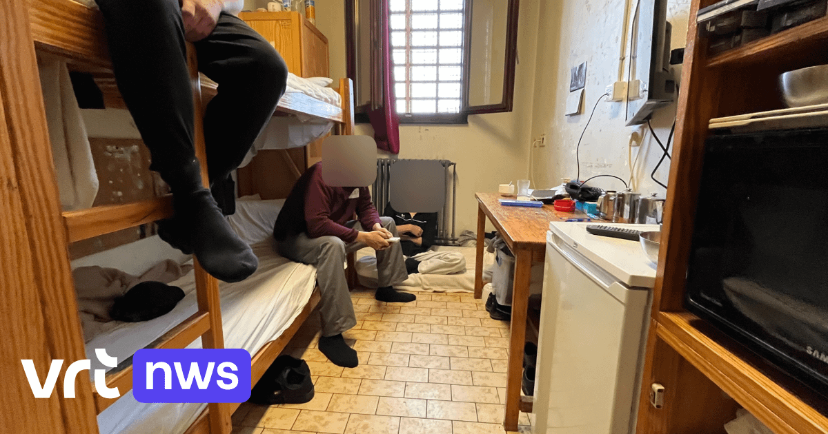 Recordaantal van 13.156 gevangenen: hoe kan het dat (over)bevolking in Belgische gevangenissen blijft toenemen? | VRT NWS: nieuws