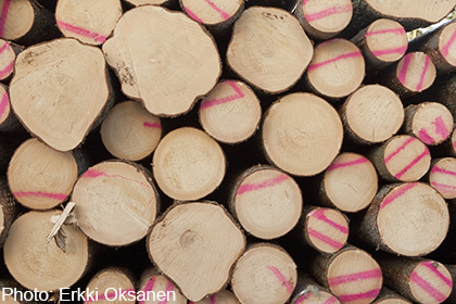 In August, price for logs exported from Lithuania dips 3%