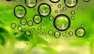 Biofuels Globally Emit More CO2 Than The Fossil Fuels They Replace — Study - CleanTechnica