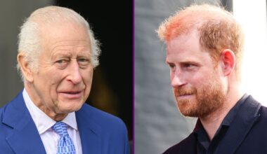 Princess Diana's hairdresser speaks out on King Charles and Prince Harry paternity rumours