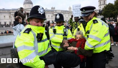 Government loses bid to block appeal against Palestine Action ban