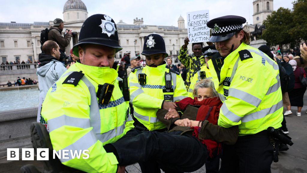 Government loses bid to block appeal against Palestine Action ban