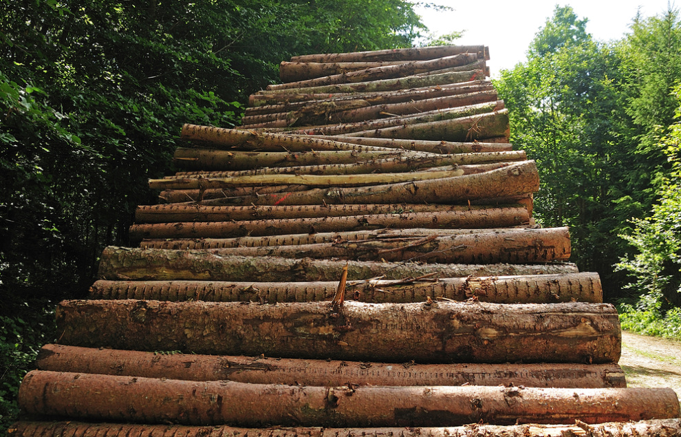 Value of purchased roundwood down 6.5% in August