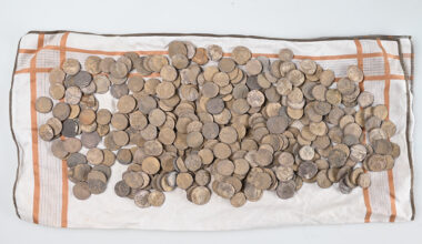 Metal pins recovered from the Roman-era hoard near Borsum, Hildesheim. Credit: Bartels, PI Hildesheim, ZKD/FK Forensik