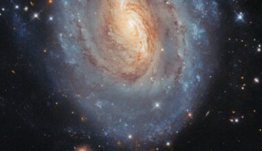 A photo of a spiral galaxy