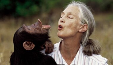 Listen to Jane Goodall’s final — and urgent — message