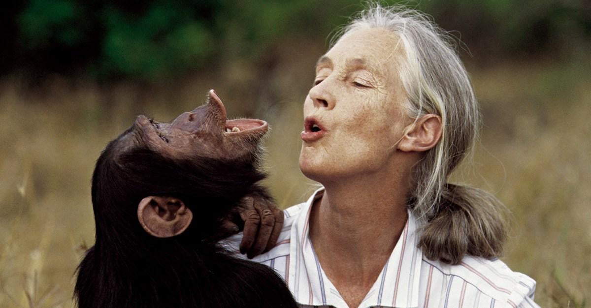 Listen to Jane Goodall’s final — and urgent — message