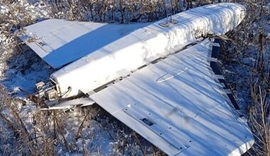 Sweden will buy counter-drone systems after airspace violations in neighbouring countries