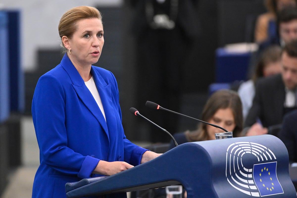 Trump seemingly forgot about wanting to buy Greenland, but he won’t forever, Danish leader warns