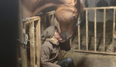I’m a Brit living in rural Denmark — this is why I ditched Copenhagen