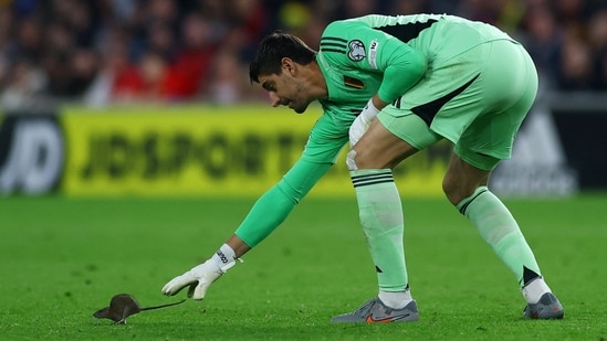 Belgium goalkeeper Thibaut Courtois tries to grab hold of a rat that made its way onto the pitch in Cardiff.(Action Images via Reuters)