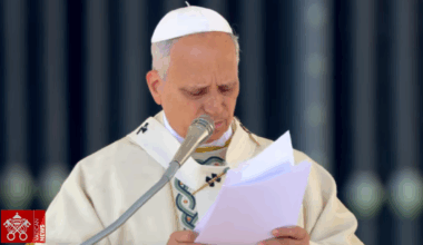 Pope Leo XIV proclaims ex-Satanist, doctor, martyrs among 7 new saints