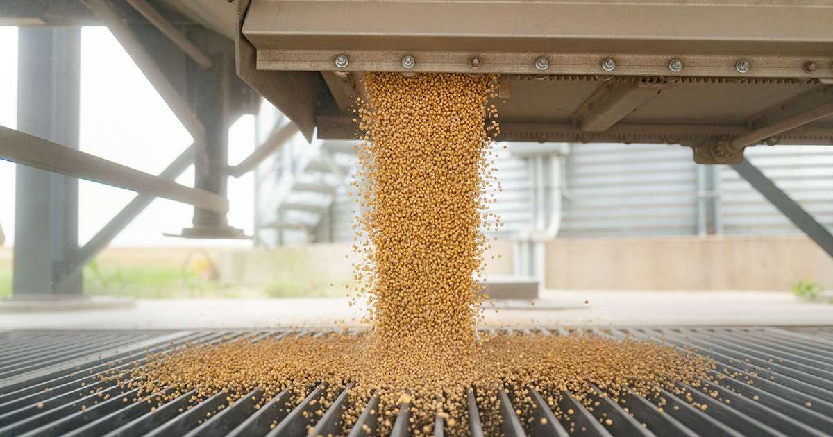Trump Predicts China Will Resume Buying US Soybeans