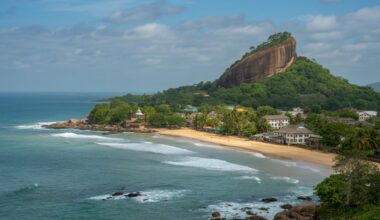 Tourism, trade, and economic growth