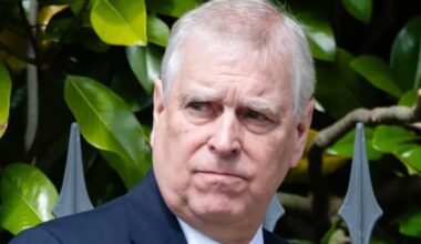 Andrew promises King Charles he won’t ‘do a Harry’ with tell-all book