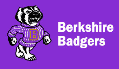 Badgers take admirable swing, but bow out in district title tilt – News-Herald
