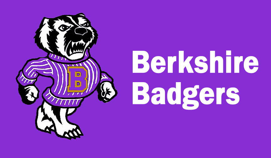 Badgers take admirable swing, but bow out in district title tilt – News-Herald