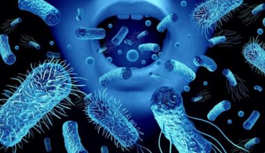 New software enables real-time pathogen surveillance in the air and environment
