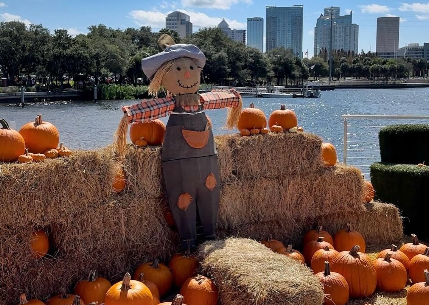 Halloween spending should break record, buy locally