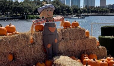 Halloween spending should break record, buy locally