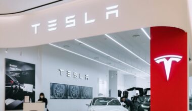 Elon Musk's Tesla Records $80 Million Paper Profit On Bitcoin In Q3, Keeps Holdings Intact - Tesla (NASDAQ:TSLA)