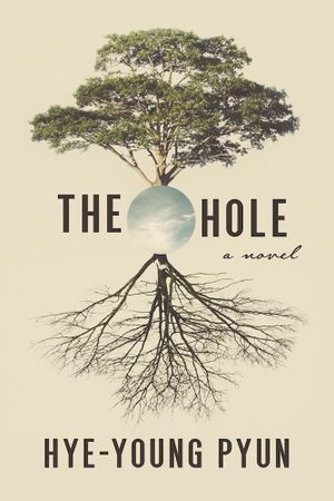 The Hole book cover