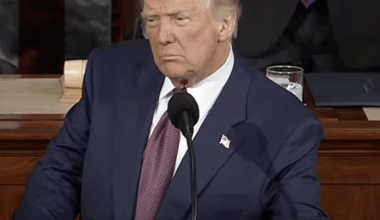 Shutdown Showdown and More Court Battles – “The Sunday Political Brunch”