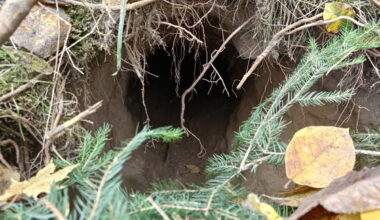 Tunnel found under Poland–Belarus border « Euro Weekly News