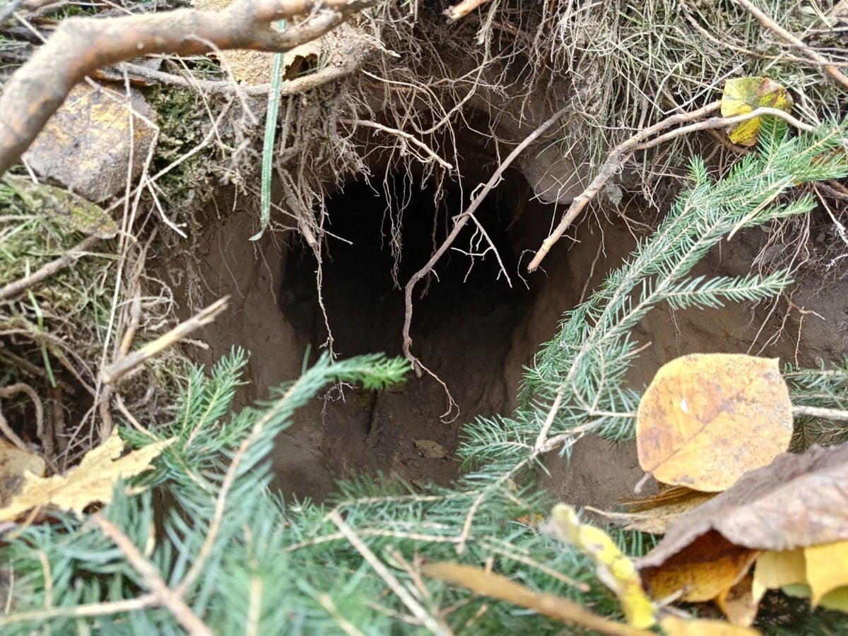 Tunnel found under Poland–Belarus border « Euro Weekly News