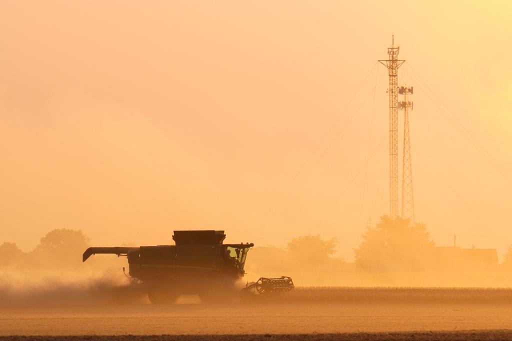 Soybean farmers feel the effects of Trump’s trade war – Twin Cities