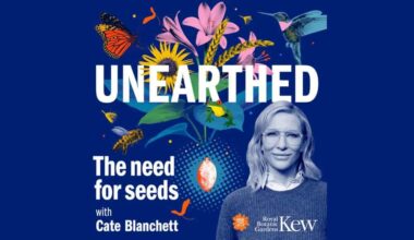 unearthed the need for seeds