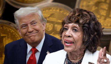 'Appalling but unsurprising': Maxine Waters calls out Trump's pardon of convicted crypto criminal