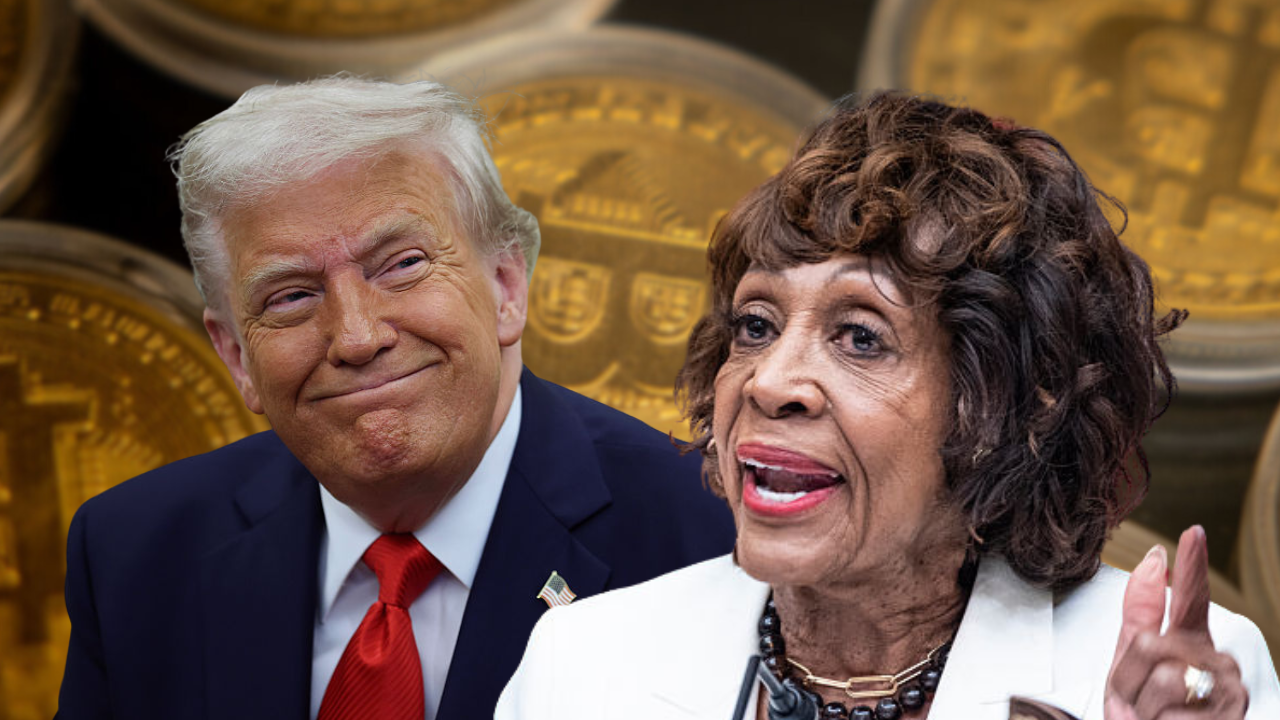 'Appalling but unsurprising': Maxine Waters calls out Trump's pardon of convicted crypto criminal