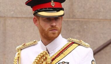 Prince Harry critique