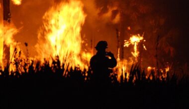 Climate change drives global surge in the worst wildfires