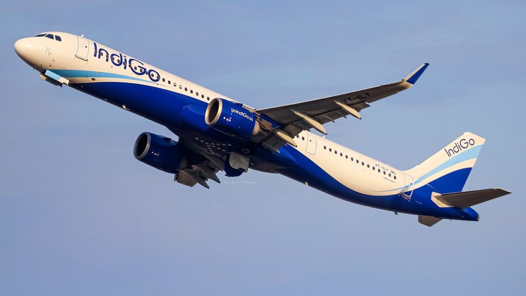 IndiGo Flight Experienced Bird Strike