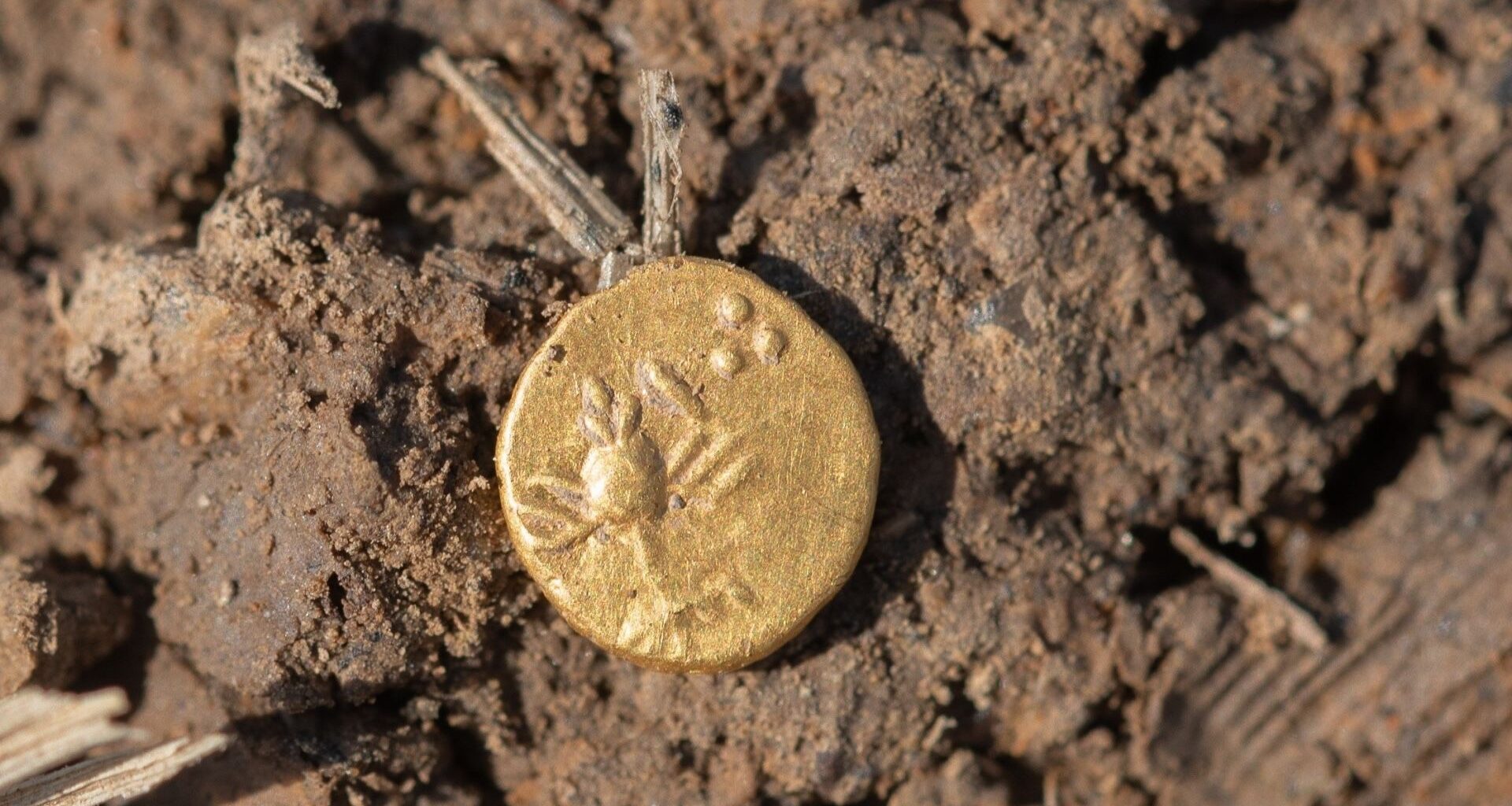 a close-up of a gold coin in the dirt