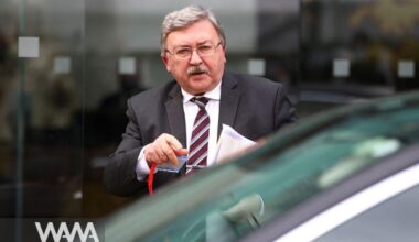 Mikhail Ulyanov, Russia’s Permanent Representative to International Organizations in Vienna