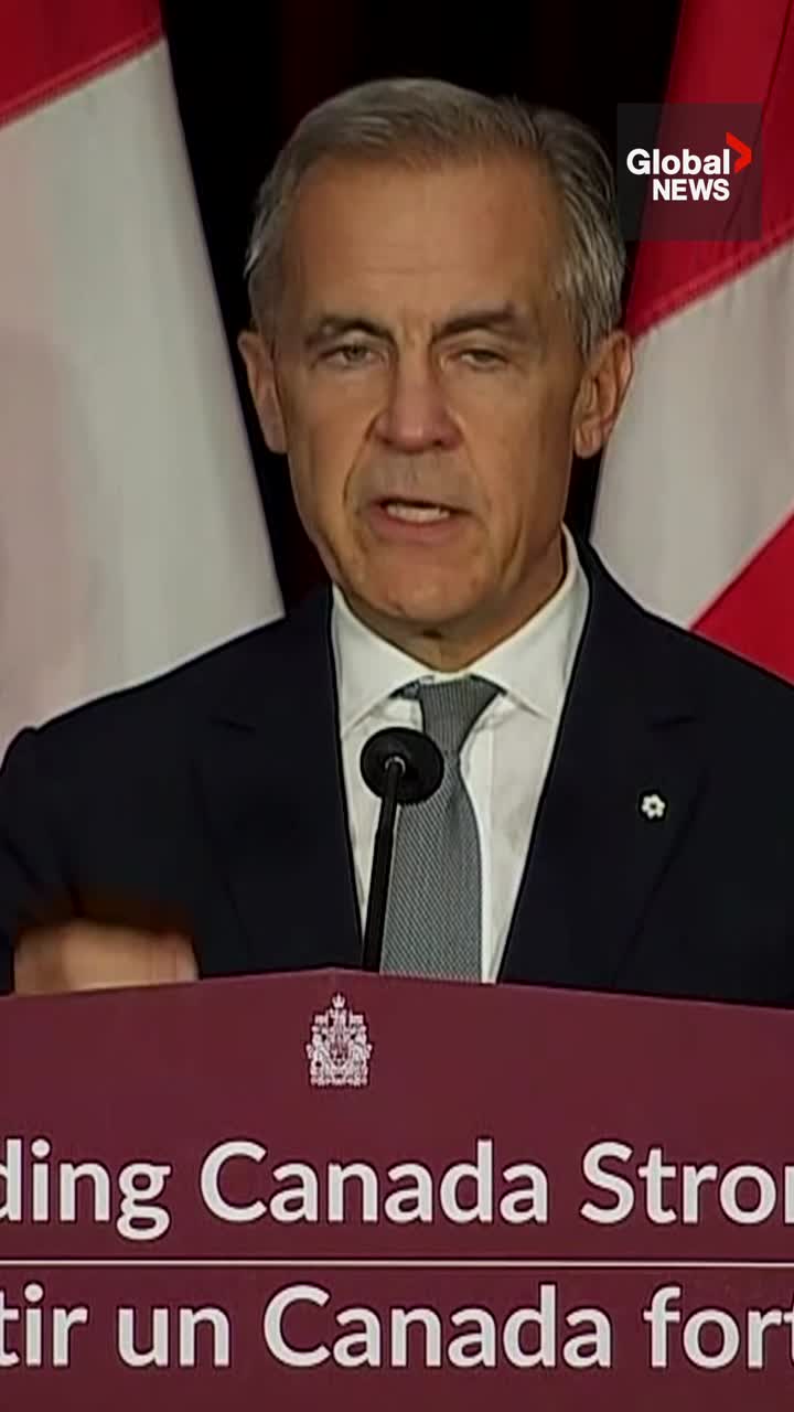 Click to play video: '‘Swing for the fences’: Carney references Blue Jays George Springer home run in pre-budget speech'