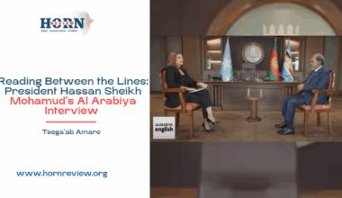 President Hassan Sheikh Mohamud’s Al Arabiya Interview – HORN REVIEW