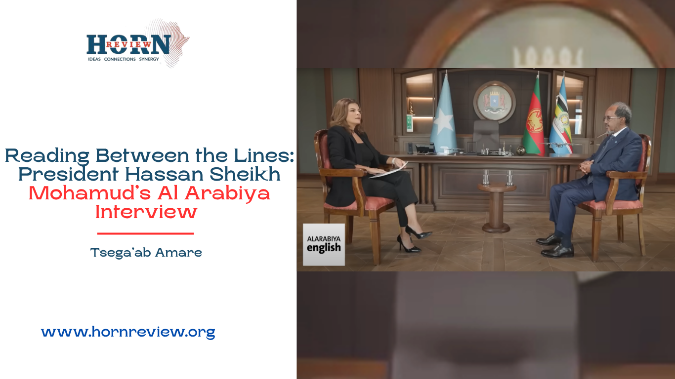 President Hassan Sheikh Mohamud’s Al Arabiya Interview – HORN REVIEW